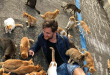 В Японии есть остров Тасиро, но его ещё принято называть «Кошачий остров»