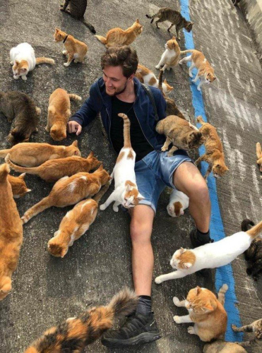 В Японии есть остров Тасиро, но его ещё принято называть «Кошачий остров» В Японии есть остров Тасиро, но его ещё принято называть «Кошачий остров»