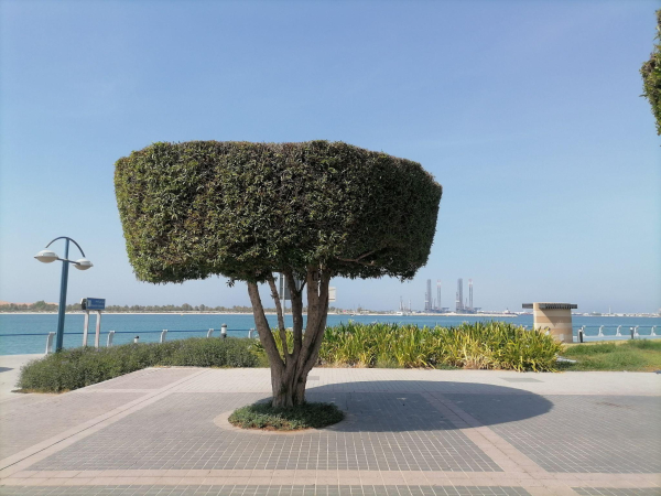 «Короткая» стыковка длиной 12 часов: что нужно знать о перелетах в Азию4